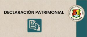 declaracion_patrimonial