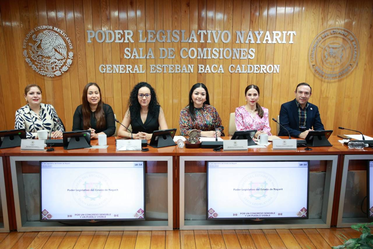 Prepara Congreso mayor defensa legal para víctimas de abuso y violencia vicaria