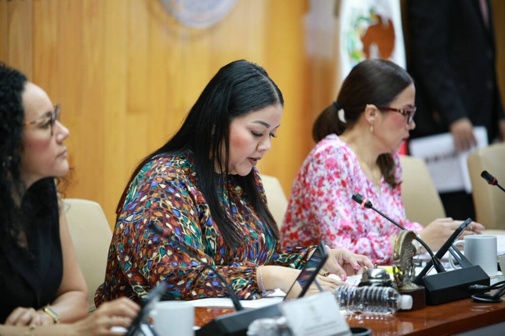 Prepara Congreso mayor defensa legal para víctimas de abuso y violencia vicaria