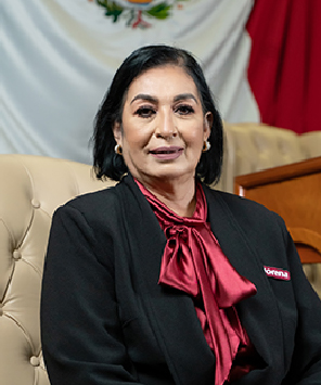 Dip. Lourdes Josefina Mercado Soto