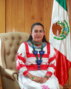 Dip. Felicitas Díaz Hernández