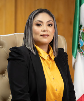 Dip. Karla María Hernández Darey