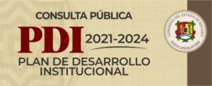 200122_consulta_publica_pdi_2022