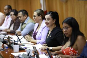 “Las voces de las personas con discapacidad serán atendidas”: diputada Alba Cristal