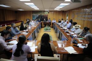 Cuida Congreso legitimidad de consulta a pueblos originarios