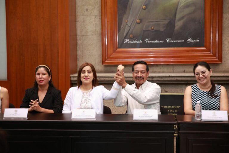 Conmemora Congreso el Día Nacional de la Mujer con Discapacidad