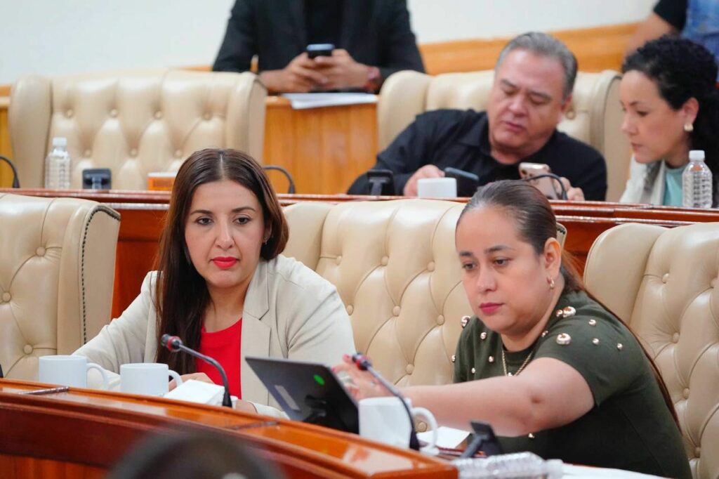 Designa Congreso a los nuevos miembros del Consejo Consultivo de Derechos Humanos