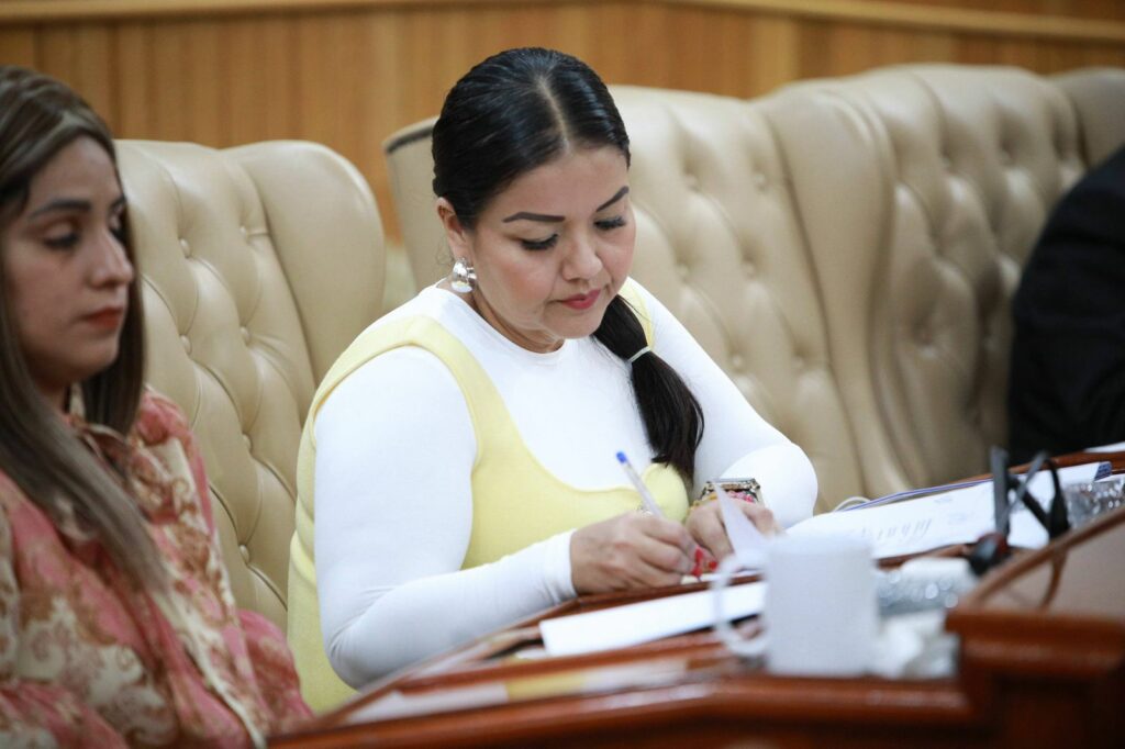 Designa Congreso a los nuevos miembros del Consejo Consultivo de Derechos Humanos