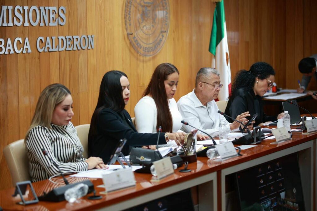 Evalúa Congreso perfiles para el Consejo Consultivo de Derechos Humanos