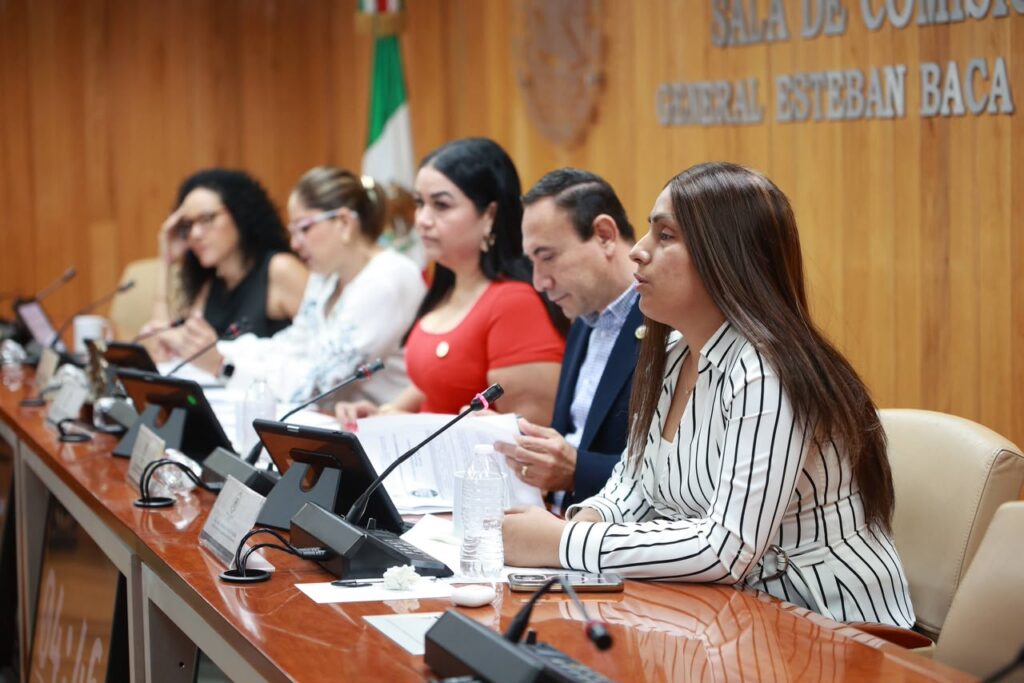Avanza proceso para designar consejeras del INMUNAY