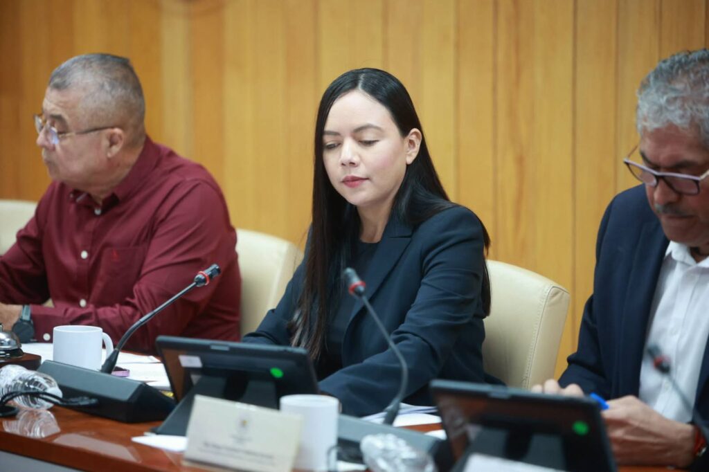 Actualiza Congreso leyes de gobierno digital y electoral 