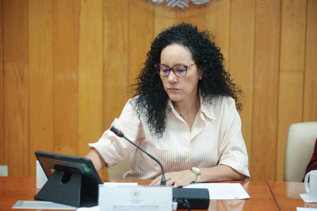 Actualiza Congreso leyes de gobierno digital y electoral 