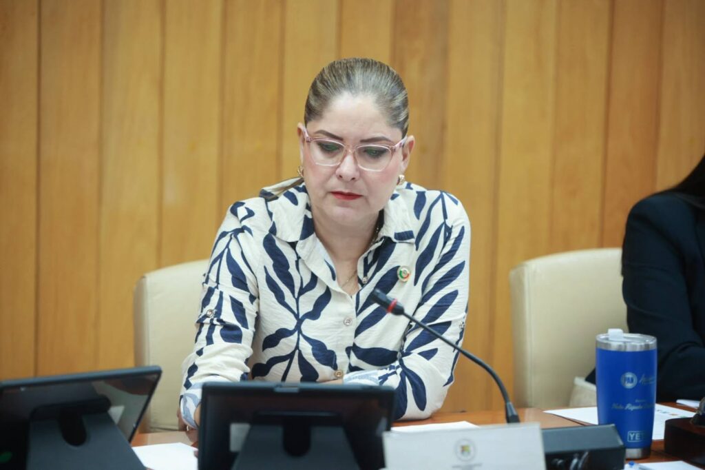 Actualiza Congreso leyes de gobierno digital y electoral 
