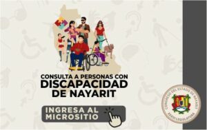 Ingresa al sitio de la consulta a personas con discapacidad.
