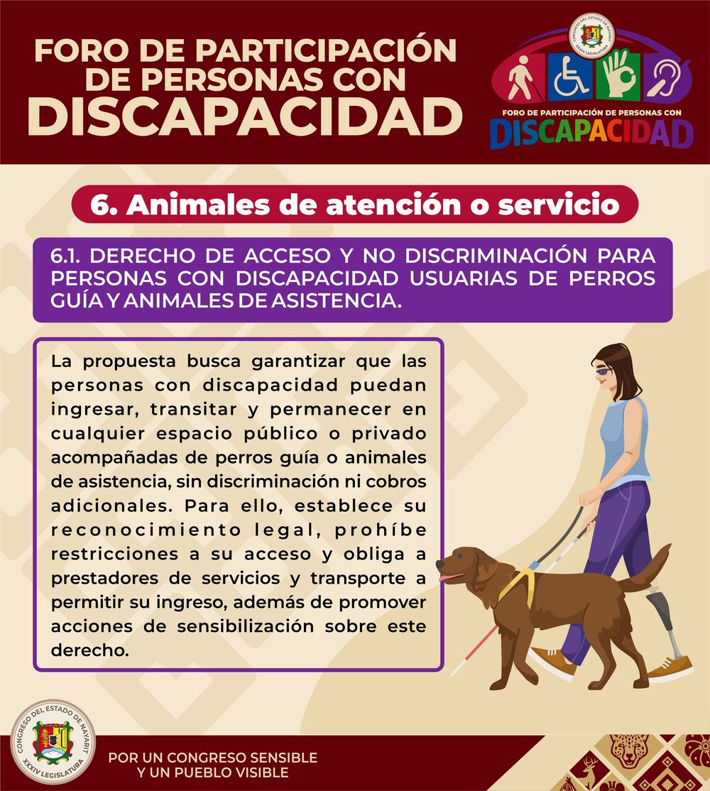 Foro de participación - Diapositiva 12